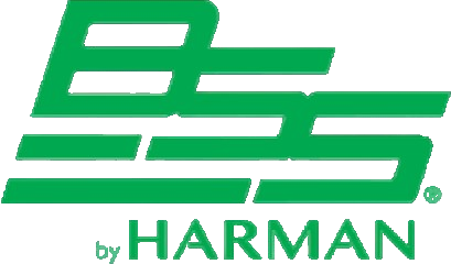 BSS