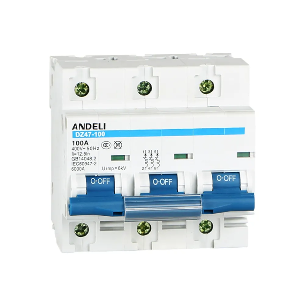 DZ47-100 Miniature Circuit Breaker